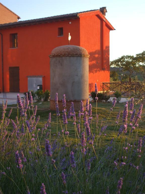 Agriturismo Borgo Stella Montespertoli Exterior foto